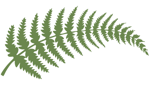 Fern icon 3