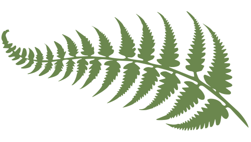 Fern icon 1
